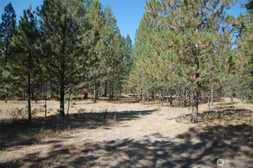 Property photo for 144 Cheif Joseph Trail, Riverside photo 13