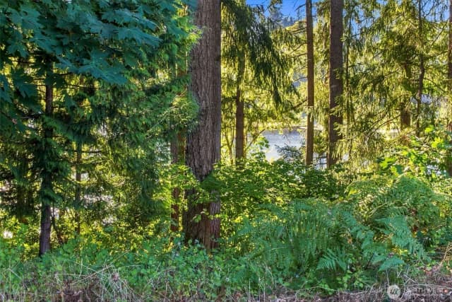 Property photo for 7027 Munn Lake Drive Se, Tumwater photo 3