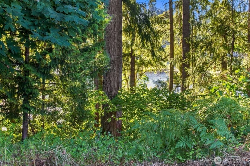 Property photo for 7027 Munn Lake Drive Se, Tumwater photo 3