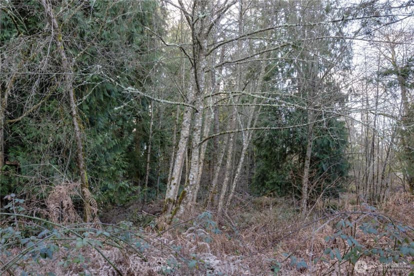 Property photo for 12102 193rd Avenue E, Bonney Lake photo 10