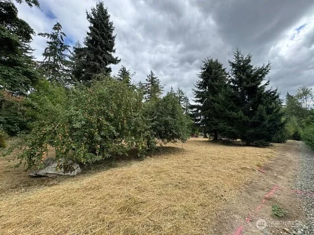 Property photo for 36852 52nd Avenue S #c-n, Auburn photo 4