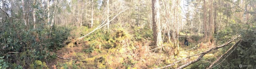 Property photo for 0 160th Avenue Nw, Gig Harbor