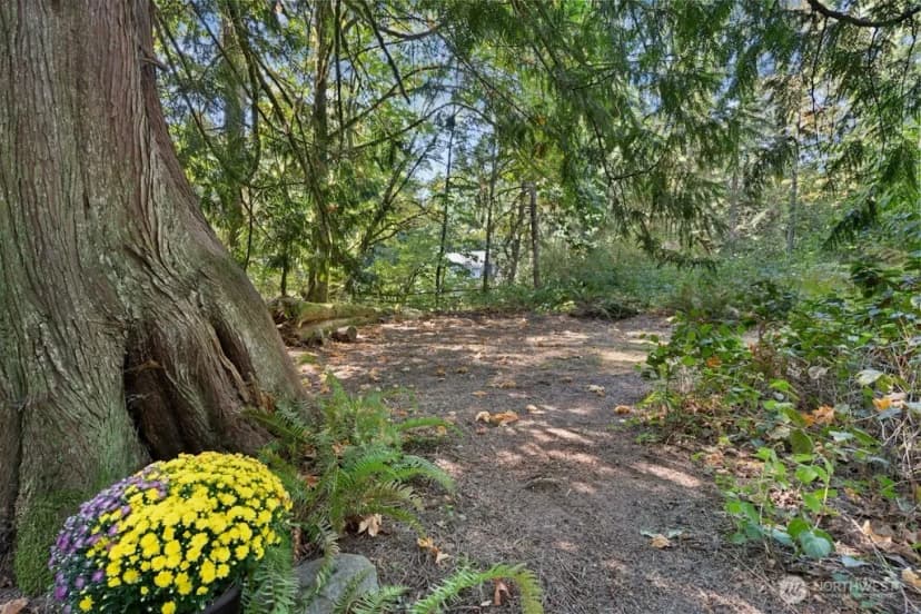Property photo for 3726 219th Avenue Se, Sammamish photo 35