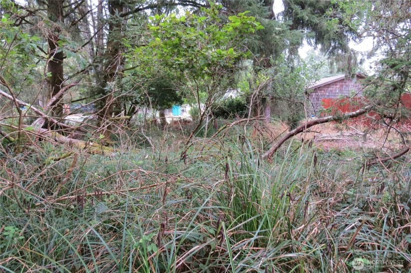 Property photo for 796 Mount Olympus Avenue Se, Ocean Shores photo 8