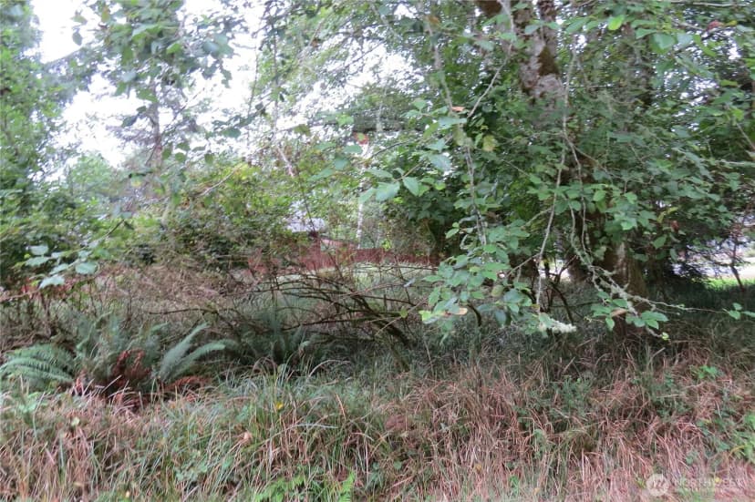 Property photo for 796 Mount Olympus Avenue Se, Ocean Shores photo 9