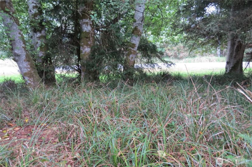 Property photo for 796 Mount Olympus Avenue Se, Ocean Shores photo 7