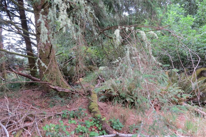 Property photo for 796 Mount Olympus Avenue Se, Ocean Shores photo 11