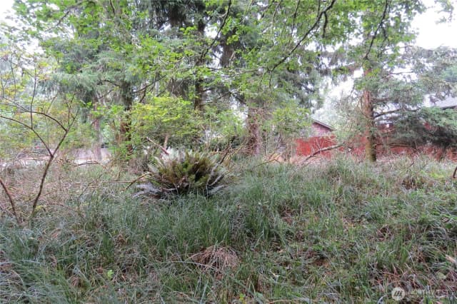 Property photo for 796 Mount Olympus Avenue Se, Ocean Shores photo 5