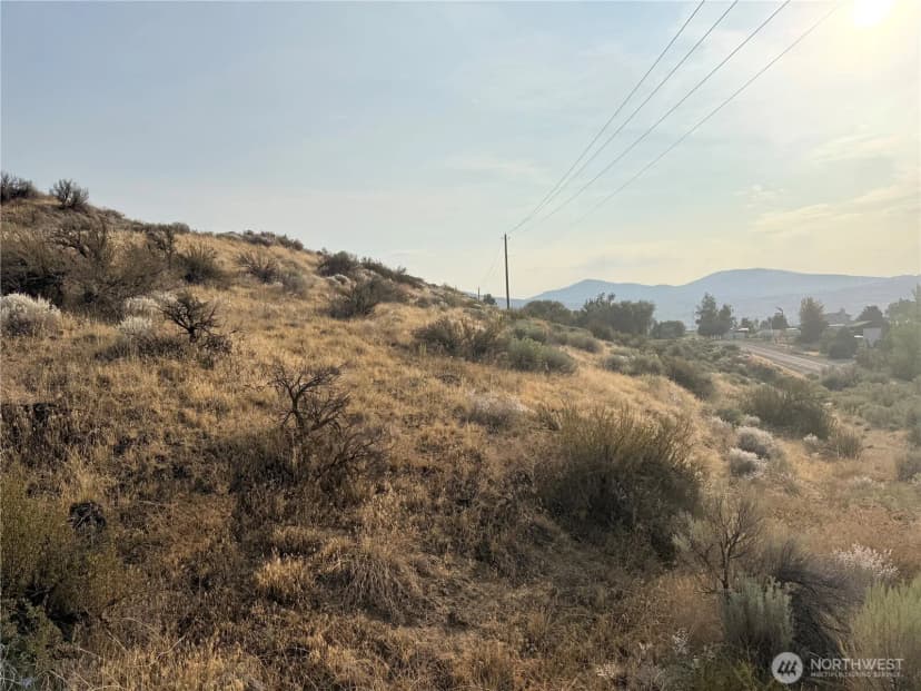 Property photo for 0 Tbd Copple Road, Omak photo 14