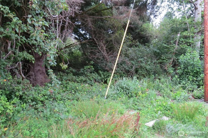 Property photo for 166 N Port Loop, Ocean Shores photo 4