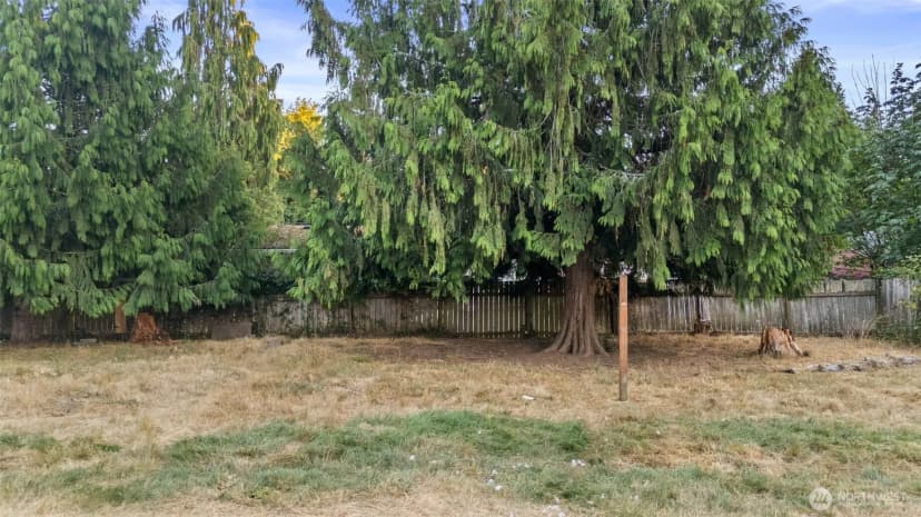 Property photo for 2515 15th Avenue Se, Olympia photo 34