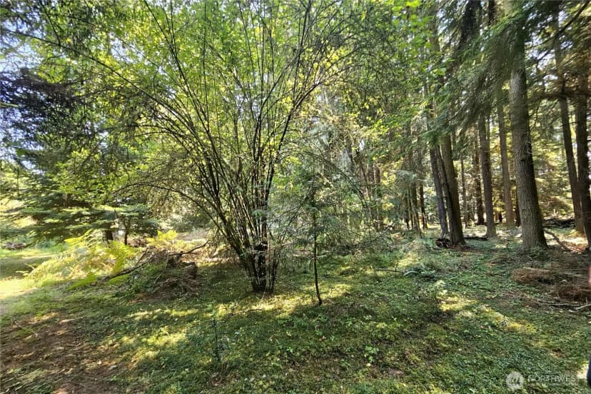 Property photo for 4063 Lambourn Lane, Oak Harbor photo 27