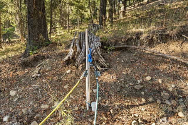 Property photo for 91 Lava Lane, Ronald photo 3