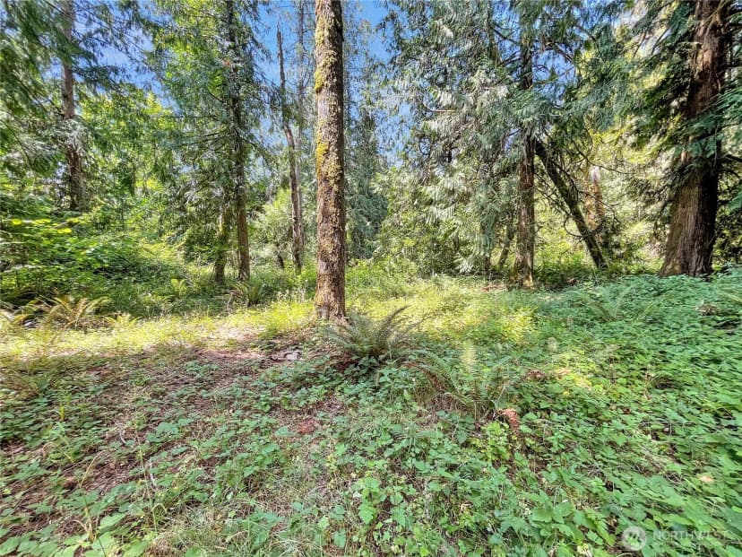 Property photo for 0 On Rush Road, Napavine photo 7