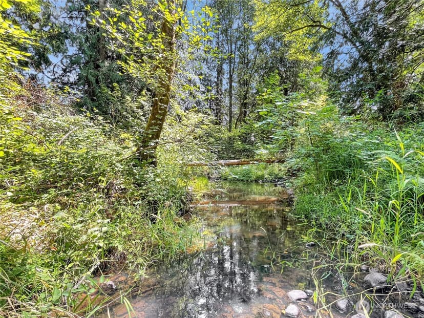 Property photo for 0 On Rush Road, Napavine photo 10