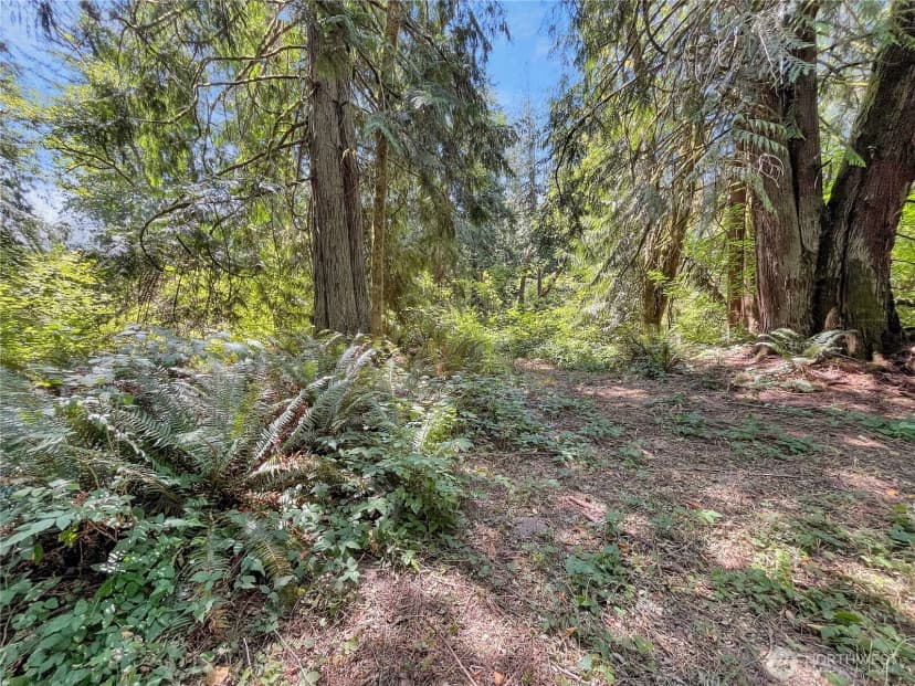 Property photo for 0 On Rush Road, Napavine photo 8