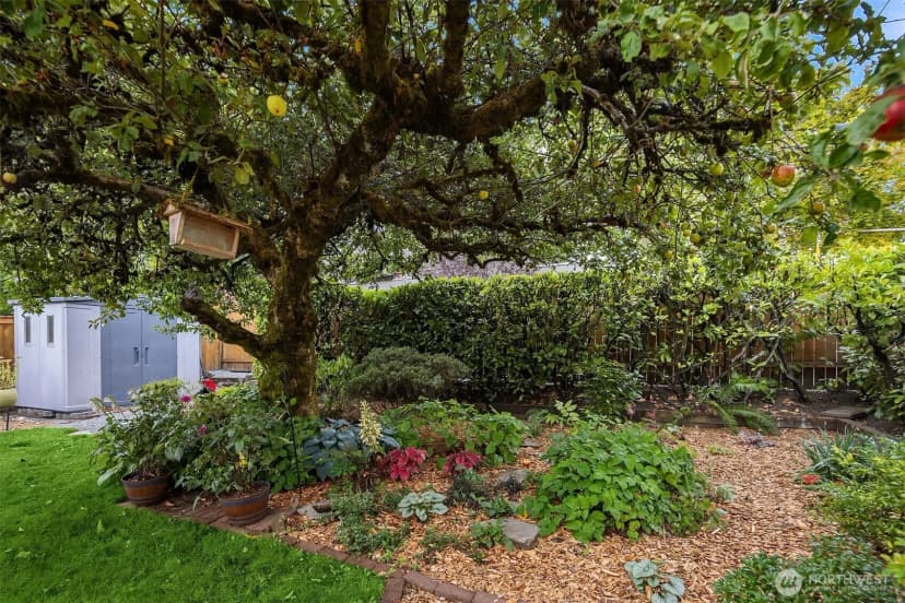 Property photo for 5257 36th Avenue Ne, Seattle photo 28