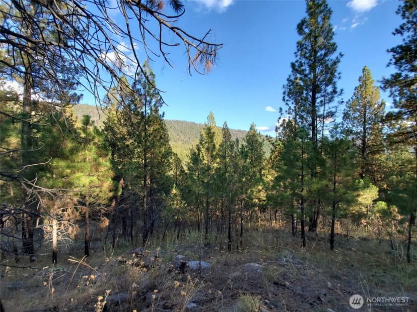 Property photo for 0 Long Horn Trail, Riverside photo 6