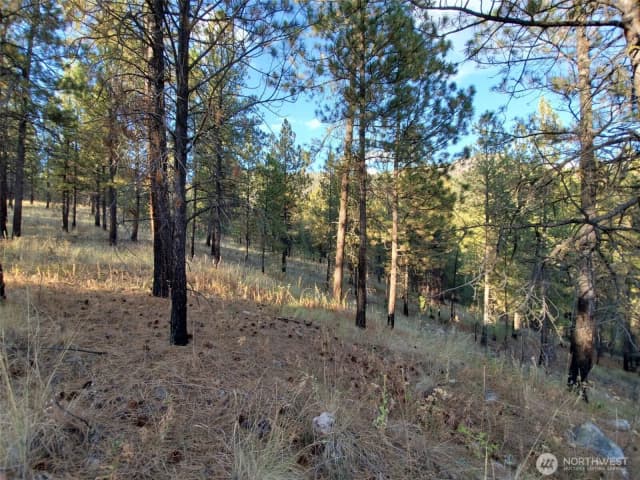 Property photo for 0 Long Horn Trail, Riverside photo 4