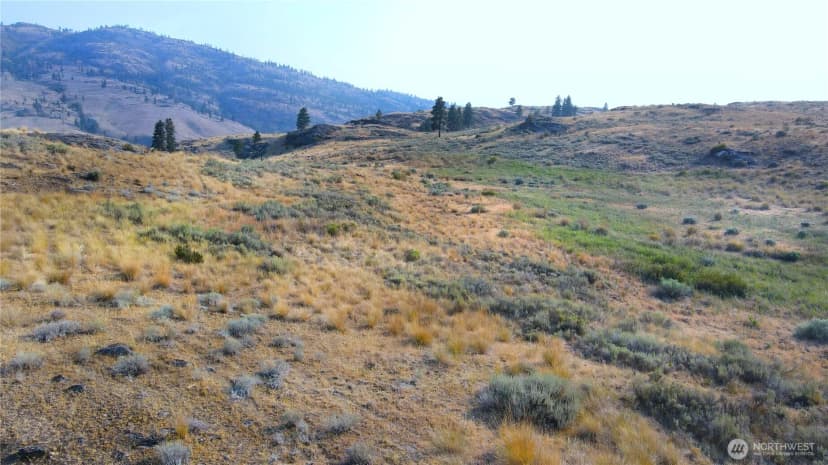 Property photo for 0 Xx Mclaughlin Canyon Road, Tonasket photo 10