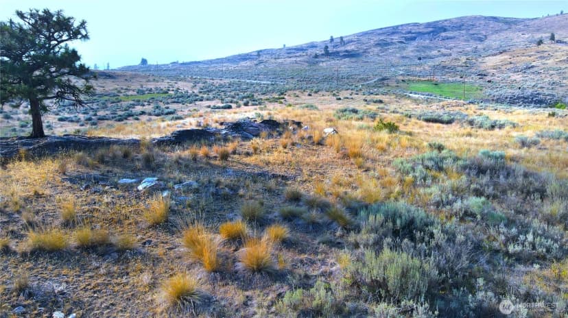 Property photo for 0 Xx Mclaughlin Canyon Road, Tonasket photo 12