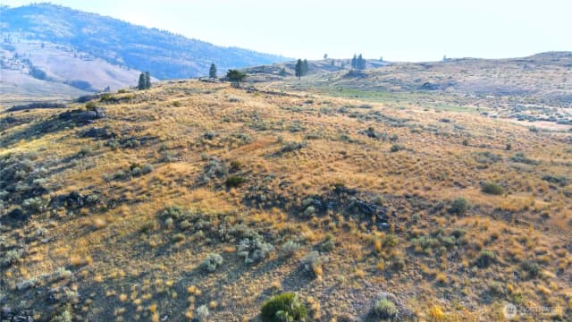 Property photo for 0 Xx Mclaughlin Canyon Road, Tonasket photo 4