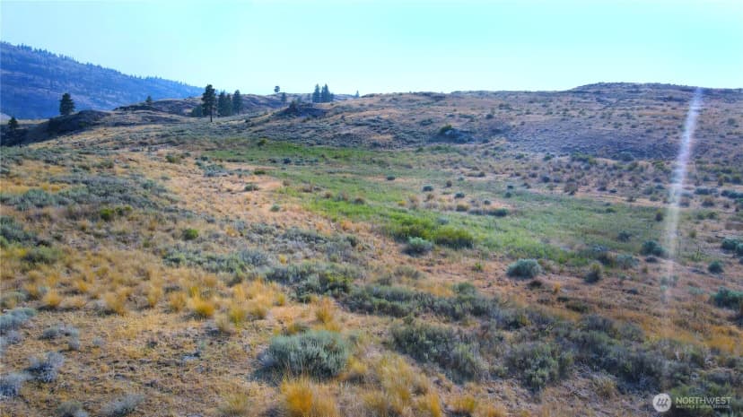 Property photo for 0 Xx Mclaughlin Canyon Road, Tonasket photo 9