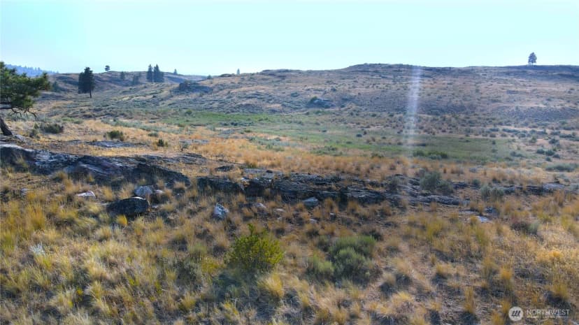 Property photo for 0 Xx Mclaughlin Canyon Road, Tonasket photo 18