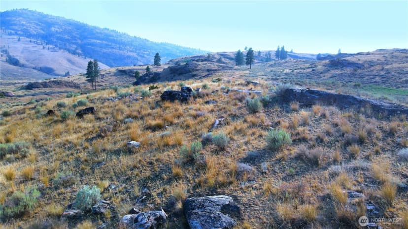 Property photo for 0 Xx Mclaughlin Canyon Road, Tonasket photo 11