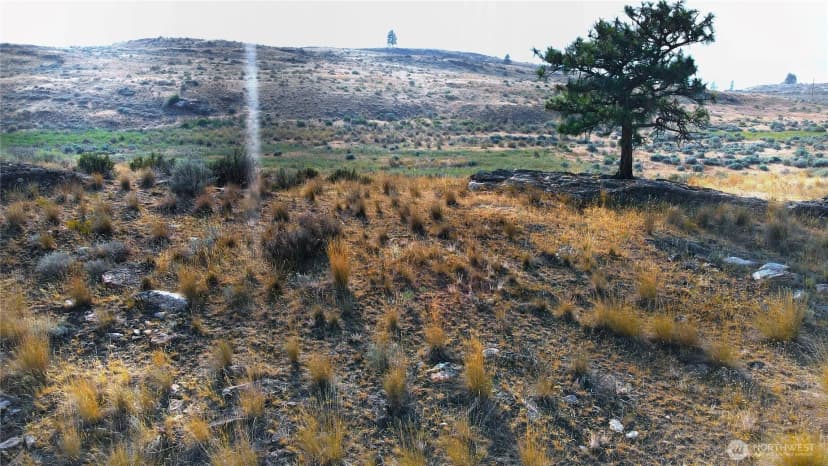 Property photo for 0 Xx Mclaughlin Canyon Road, Tonasket photo 13