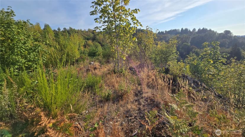 Property photo for 16001 223rd Avenue E, Orting photo 6