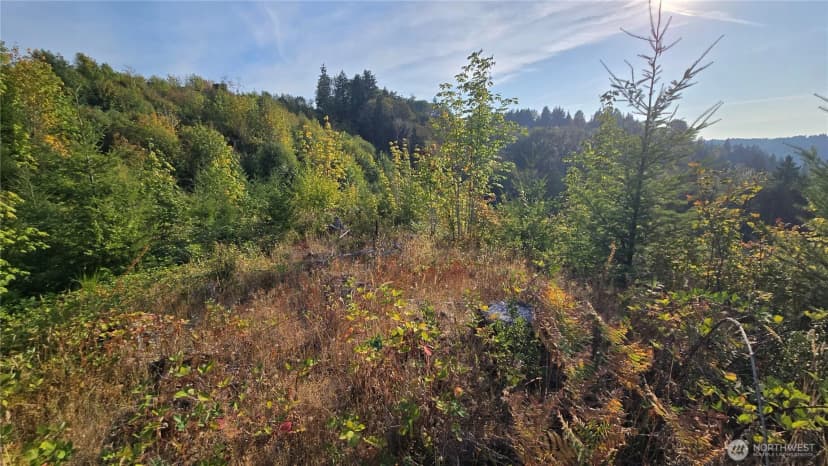 Property photo for 16001 223rd Avenue E, Orting photo 8