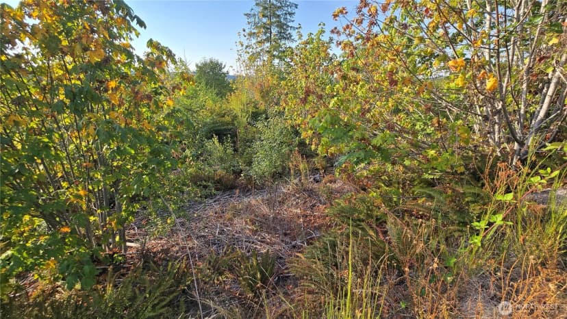 Property photo for 16001 223rd Avenue E, Orting photo 14
