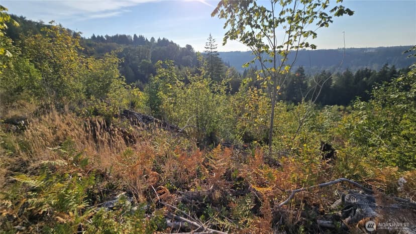 Property photo for 16001 223rd Avenue E, Orting photo 7