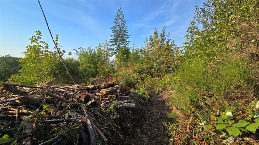 Property photo for 16001 223rd Avenue E, Orting photo 16