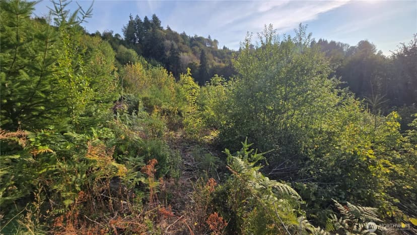 Property photo for 16001 223rd Avenue E, Orting photo 18