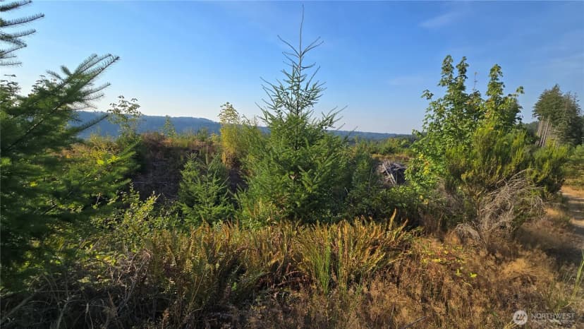 Property photo for 16001 223rd Avenue E, Orting