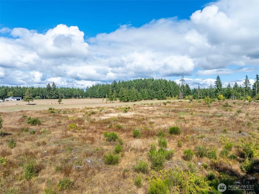 Property photo for 0 Mcglaughlin Road #5, Winlock photo 19