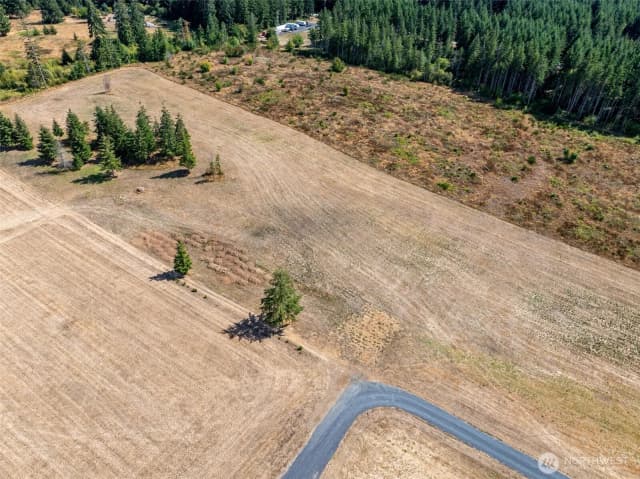 Property photo for 0 Mcglaughlin Road #5, Winlock photo 4