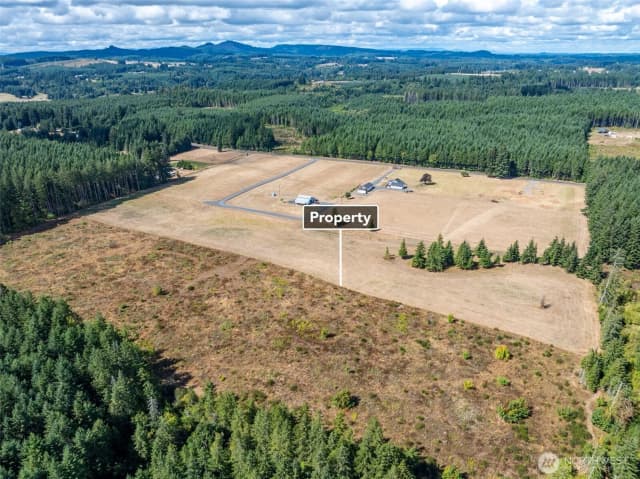 Property photo for 0 Mcglaughlin Road #5, Winlock