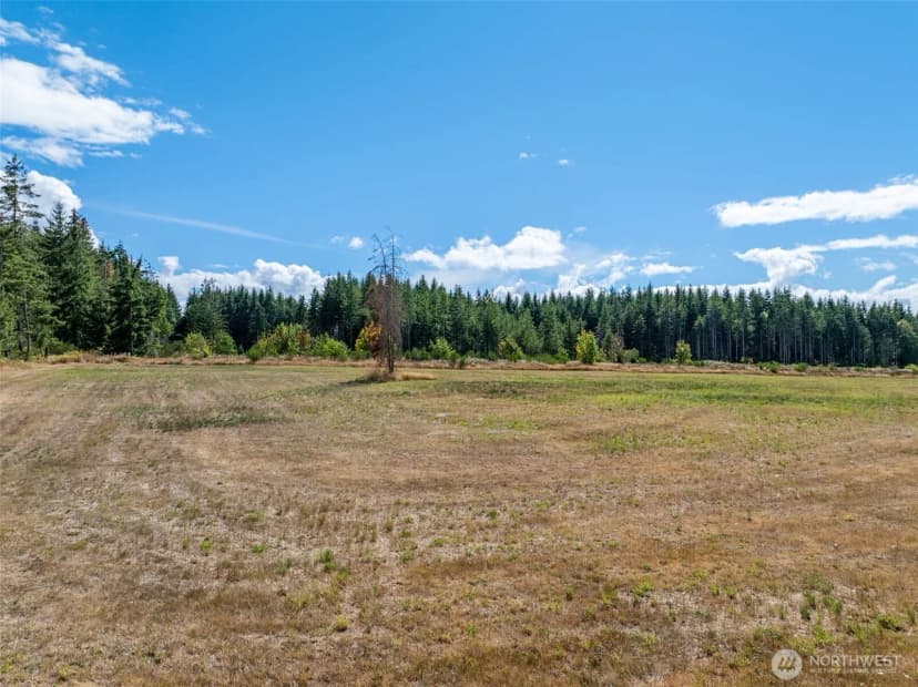 Property photo for 0 Mcglaughlin Road #6, Winlock photo 21