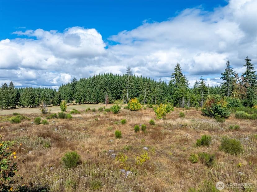 Property photo for 0 Mcglaughlin Road #6, Winlock photo 23
