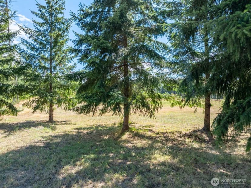 Property photo for 0 Mcglaughlin Road #6, Winlock photo 19