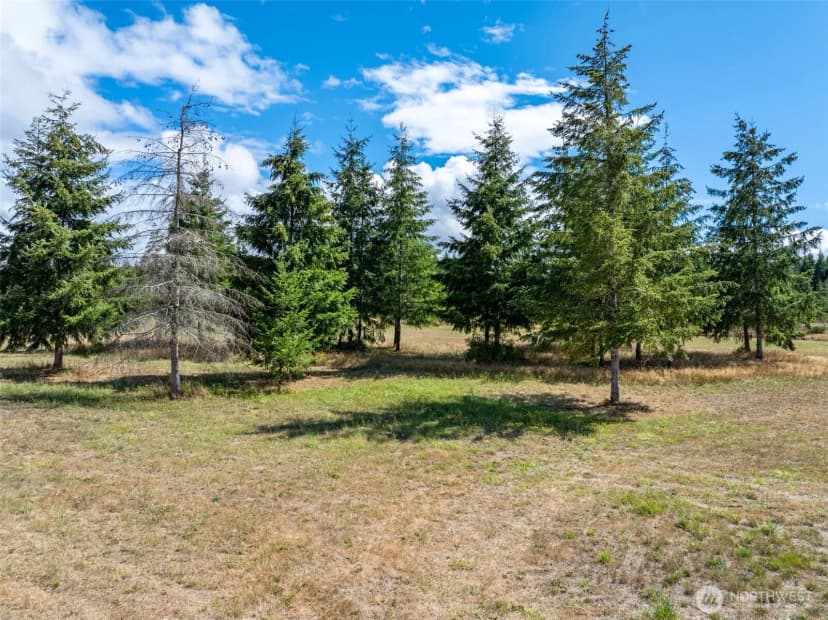 Property photo for 0 Mcglaughlin Road #6, Winlock photo 17