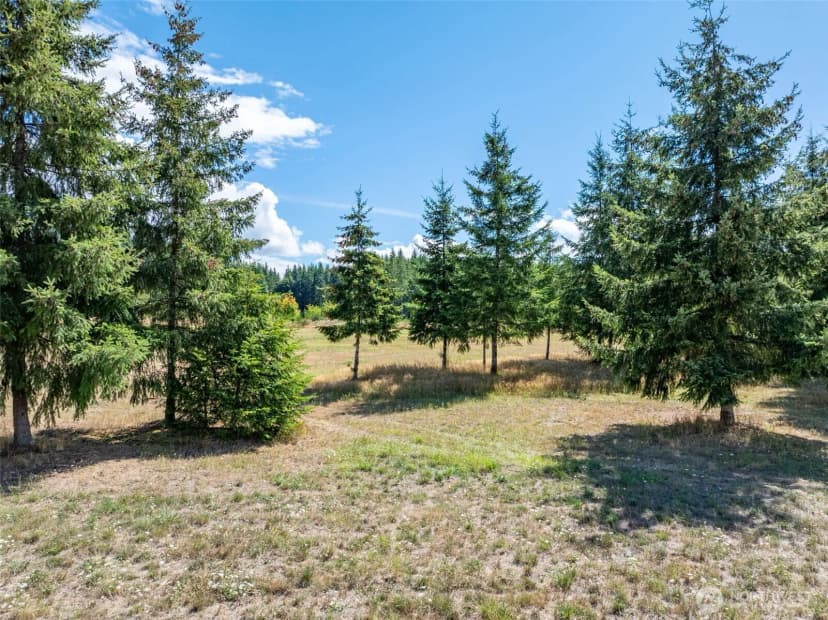 Property photo for 0 Mcglaughlin Road #6, Winlock photo 18