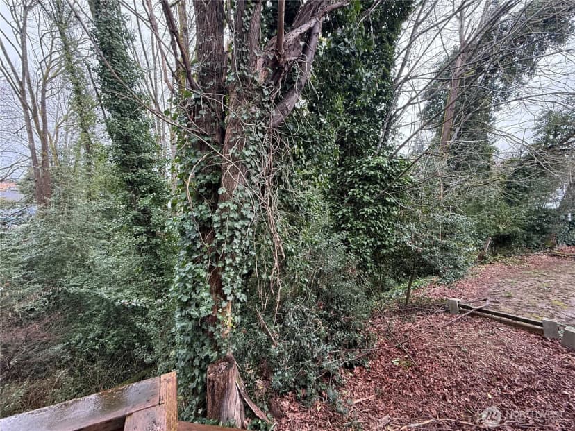 Property photo for 9624 Renton Avenue S #a, Seattle photo 30