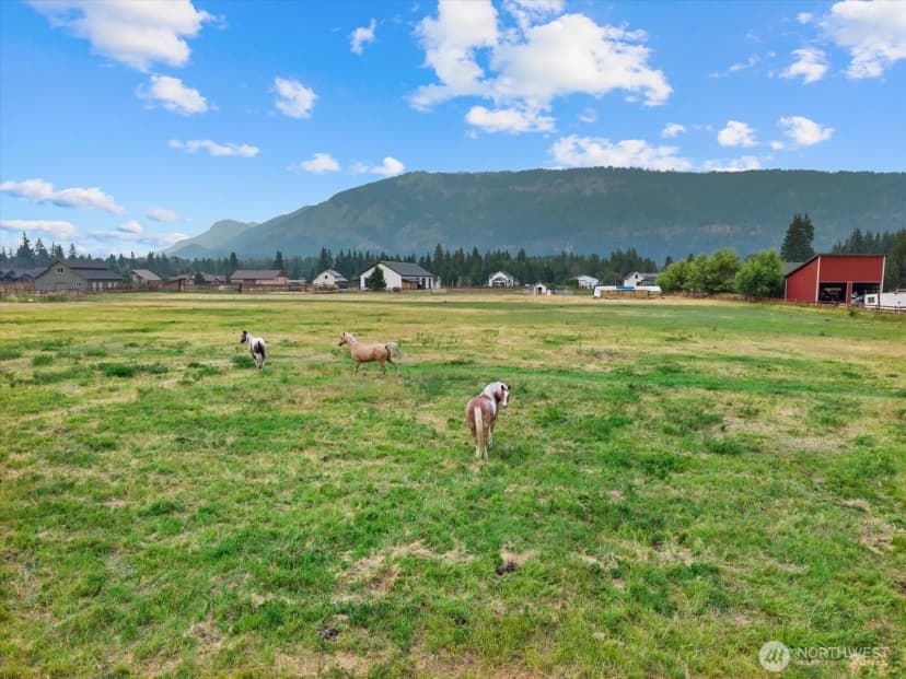 Property photo for 132 Old Cedars Road, Cle Elum photo 37