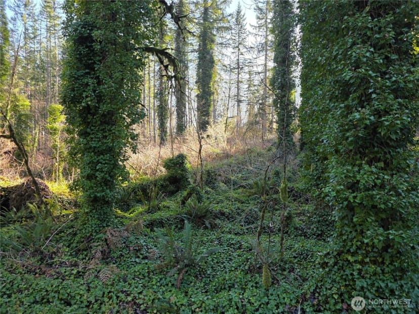 Property photo for 73 Xx 226th Avenue Ne #4, Granite Falls photo 2