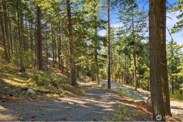 Property photo for 170 Pumphouse Hill Road, Cle Elum photo 3
