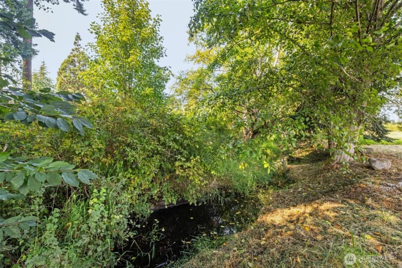Property photo for 221 Van Dyken Drive, Sequim photo 12